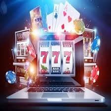 655 bet